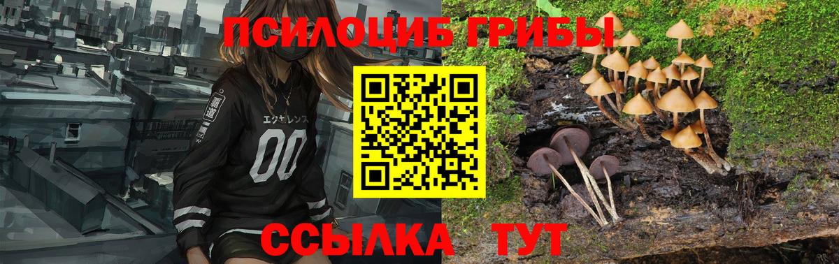 Псилоцибиновые грибы прущие грибы  Вход с VPN  Ханты-Мансийск 